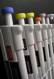 Line of pipettes